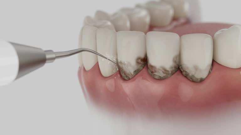 Reliable Dental contractor in Manassas, VA by Dentist Open Now